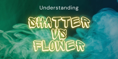 The Shatter Saga: Delving into Cannabis Concentrates