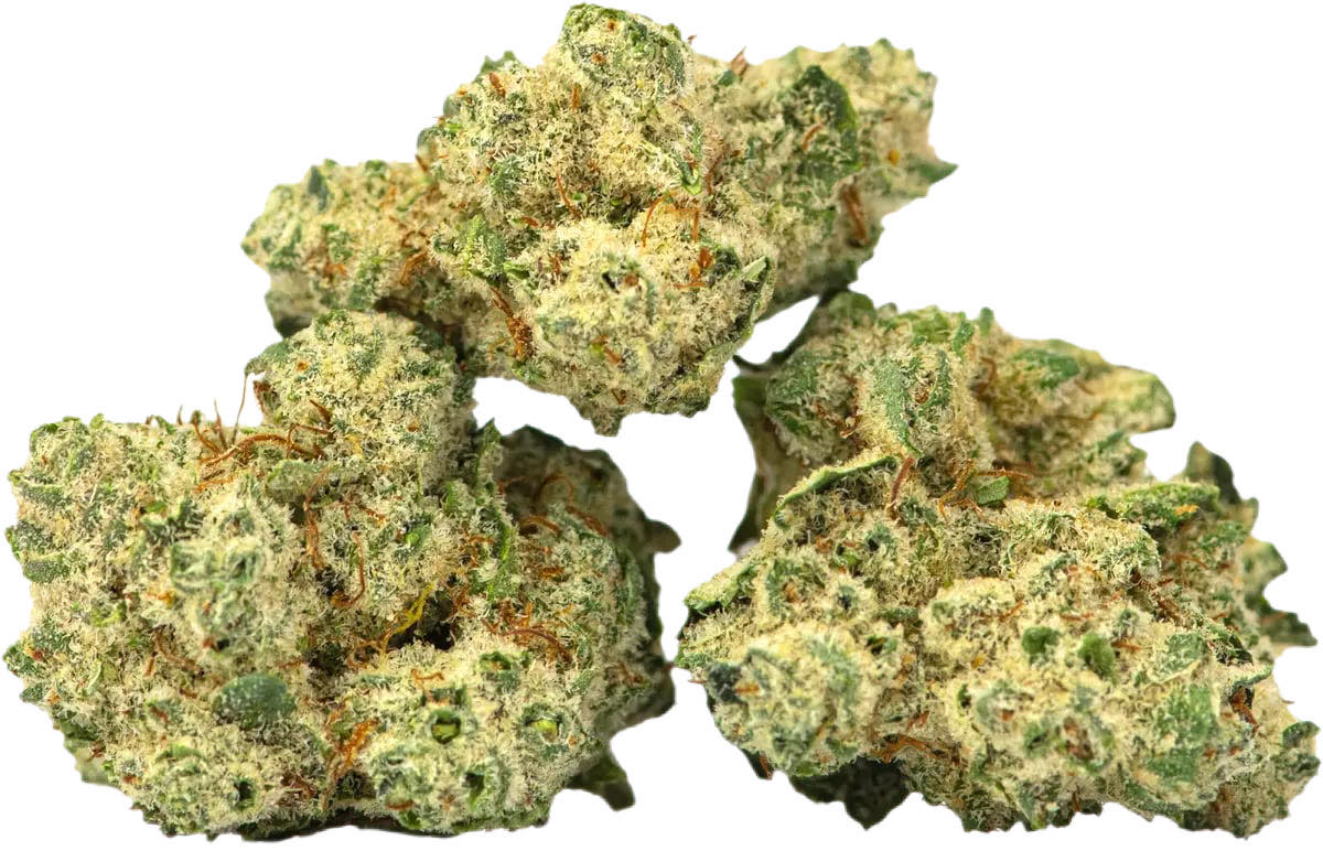 Burmese Kush AAA+