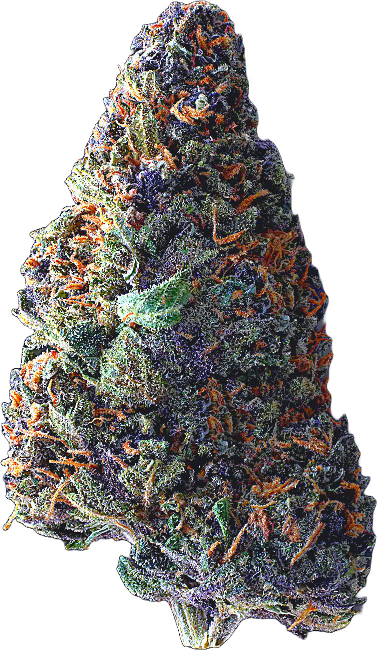 Purple Space Cookies