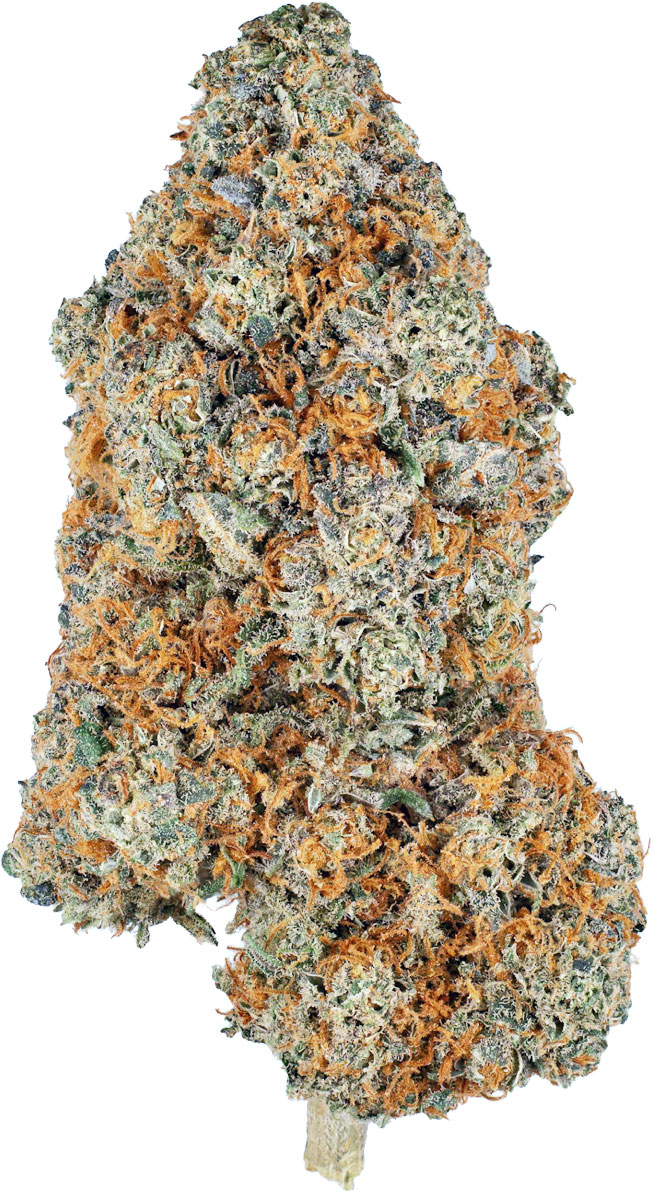 Jack Herer