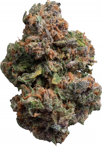 Berry Biscotti AAA
