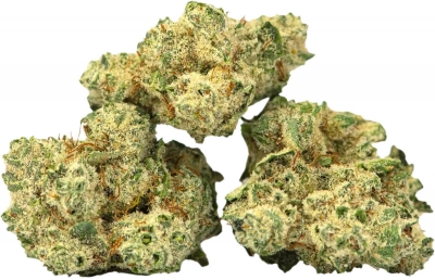 Burmese Kush AAA+