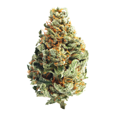 Blackberry Kush