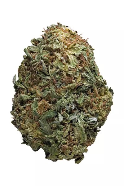 Critical Mass AA