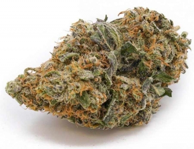 Durban Poison AAA+