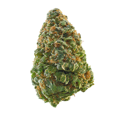 Gelato