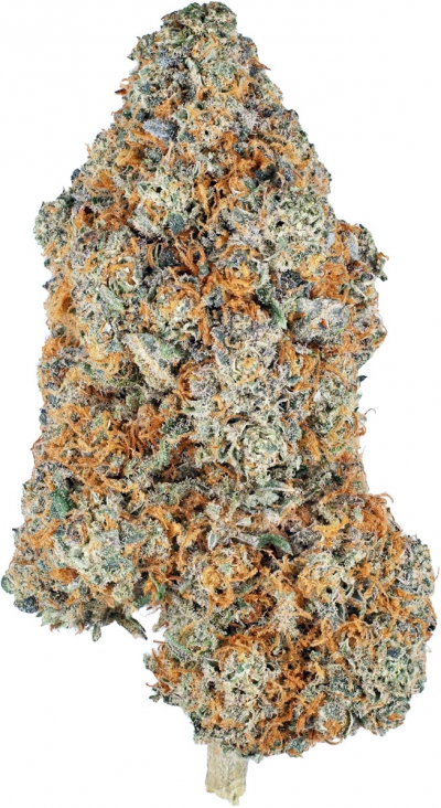 Jack Herer