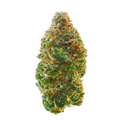 Northern Lights