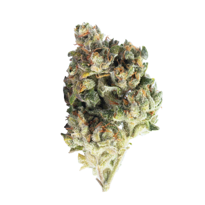 SkyWalker OG